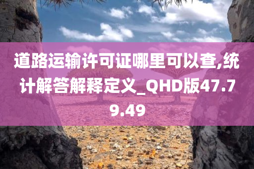 道路运输许可证哪里可以查,统计解答解释定义_QHD版47.79.49