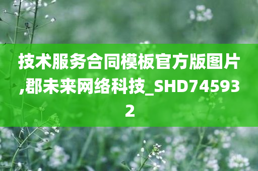 技术服务合同模板官方版图片,郡未来网络科技_SHD745932