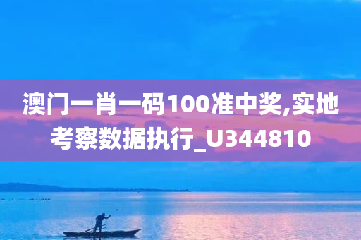 澳门一肖一码100准中奖,实地考察数据执行_U344810