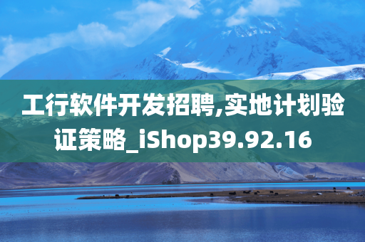 工行软件开发招聘,实地计划验证策略_iShop39.92.16