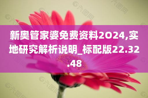 新奥管家婆免费资料2O24,实地研究解析说明_标配版22.32.48