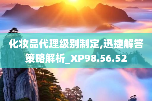 化妆品代理级别制定,迅捷解答策略解析_XP98.56.52