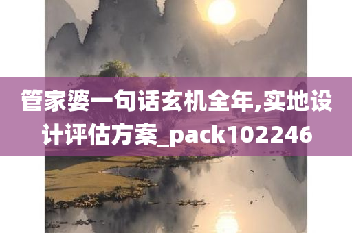 管家婆一句话玄机全年,实地设计评估方案_pack102246