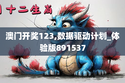 澳门开奖123,数据驱动计划_体验版891537