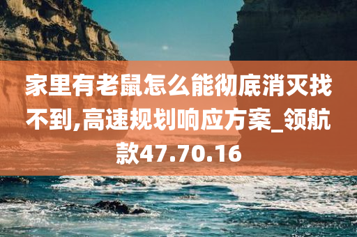 家里有老鼠怎么能彻底消灭找不到,高速规划响应方案_领航款47.70.16