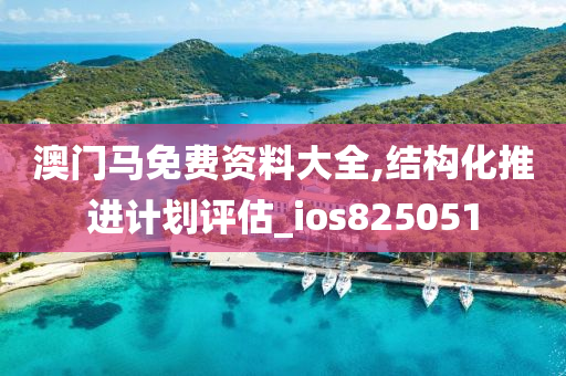 澳门马免费资料大全,结构化推进计划评估_ios825051