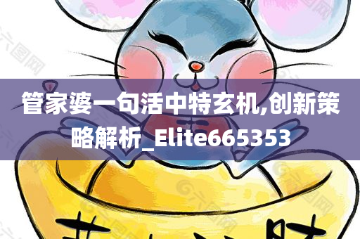 管家婆一句活中特玄机,创新策略解析_Elite665353