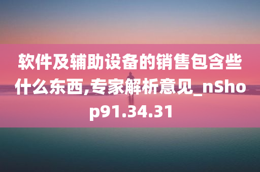 软件及辅助设备的销售包含些什么东西,专家解析意见_nShop91.34.31