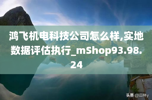 鸿飞机电科技公司怎么样,实地数据评估执行_mShop93.98.24