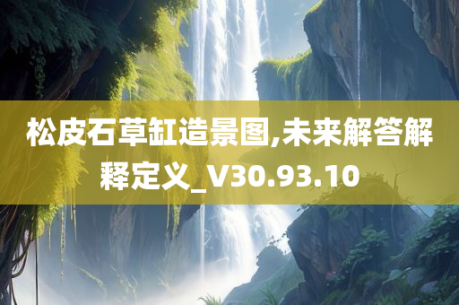 松皮石草缸造景图,未来解答解释定义_V30.93.10