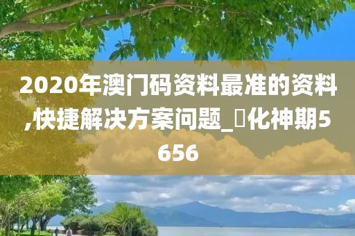 2020年澳门码资料最准的资料,快捷解决方案问题_‌化神期5656