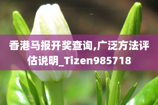 香港马报开奖查询,广泛方法评估说明_Tizen985718