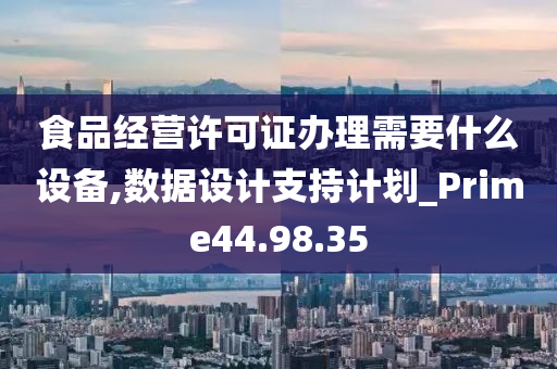 食品经营许可证办理需要什么设备,数据设计支持计划_Prime44.98.35