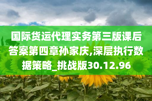 国际货运代理实务第三版课后答案第四章孙家庆,深层执行数据策略_挑战版30.12.96