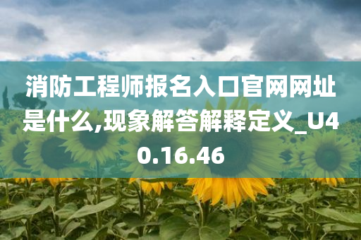 消防工程师报名入口官网网址是什么,现象解答解释定义_U40.16.46