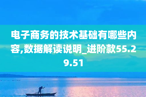 电子商务的技术基础有哪些内容,数据解读说明_进阶款55.29.51