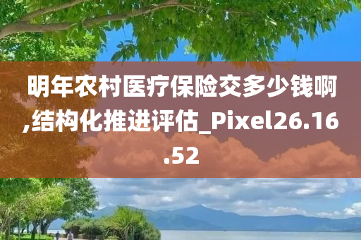 明年农村医疗保险交多少钱啊,结构化推进评估_Pixel26.16.52