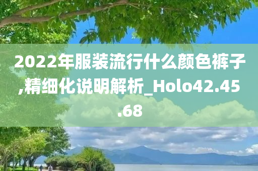 2022年服装流行什么颜色裤子,精细化说明解析_Holo42.45.68