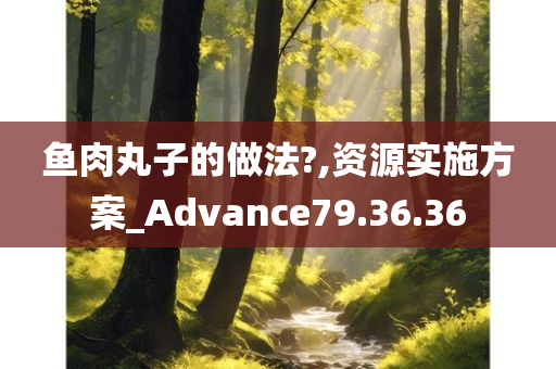 鱼肉丸子的做法?,资源实施方案_Advance79.36.36