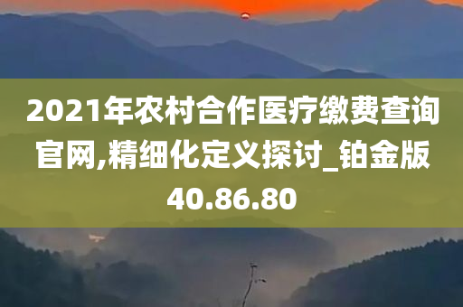 2021年农村合作医疗缴费查询官网,精细化定义探讨_铂金版40.86.80