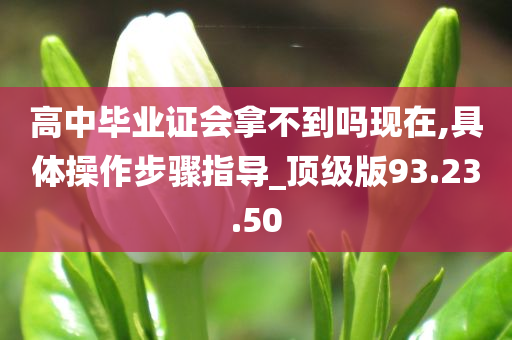 高中毕业证会拿不到吗现在,具体操作步骤指导_顶级版93.23.50