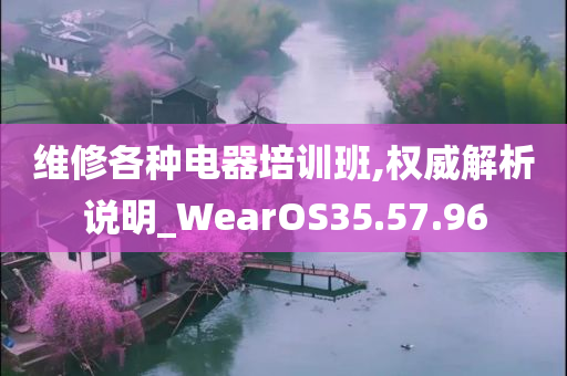 维修各种电器培训班,权威解析说明_WearOS35.57.96