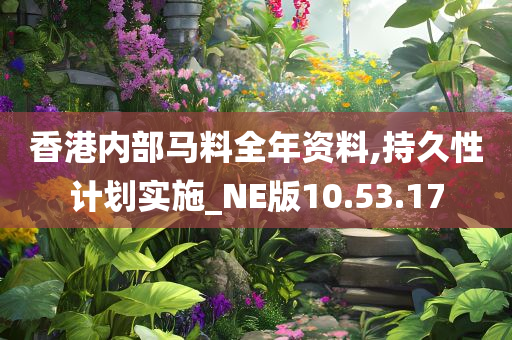 香港内部马料全年资料,持久性计划实施_NE版10.53.17