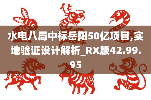 水电八局中标岳阳50亿项目,实地验证设计解析_RX版42.99.95