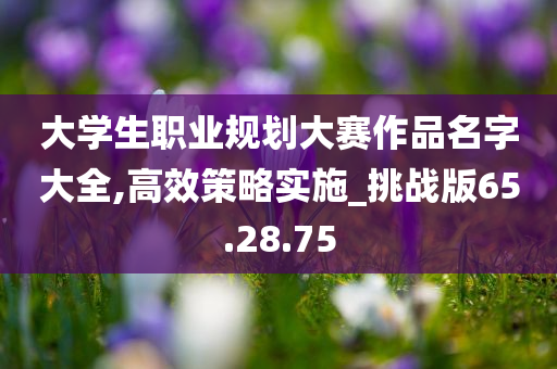 大学生职业规划大赛作品名字大全,高效策略实施_挑战版65.28.75