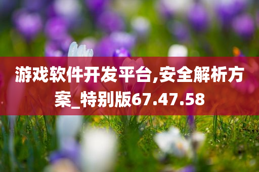 游戏软件开发平台,安全解析方案_特别版67.47.58