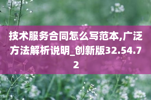 技术服务合同怎么写范本,广泛方法解析说明_创新版32.54.72