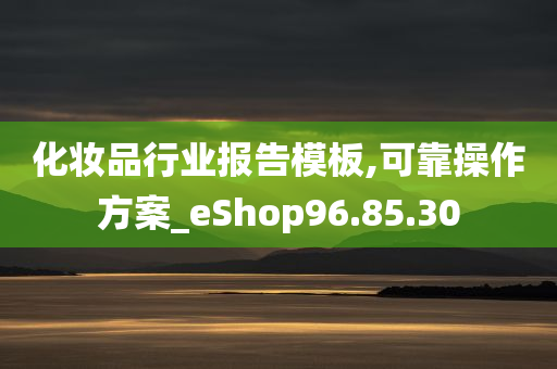 化妆品行业报告模板,可靠操作方案_eShop96.85.30