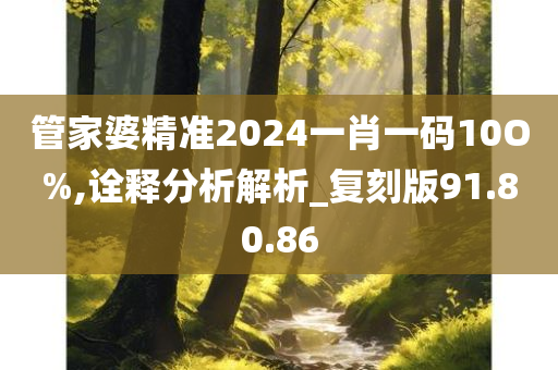 管家婆精准2024一肖一码10O%,诠释分析解析_复刻版91.80.86