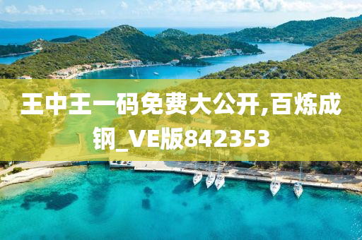 王中王一码免费大公开,百炼成钢_VE版842353