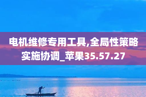 电机维修专用工具,全局性策略实施协调_苹果35.57.27