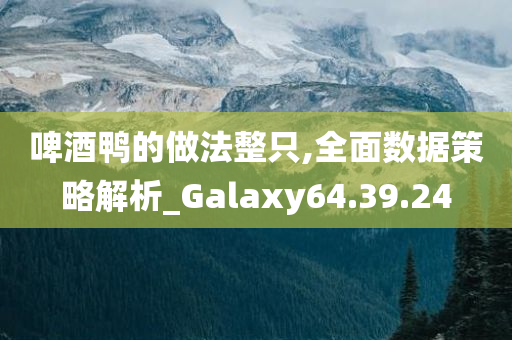 啤酒鸭的做法整只,全面数据策略解析_Galaxy64.39.24