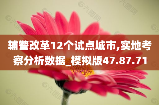 辅警改革12个试点城市,实地考察分析数据_模拟版47.87.71