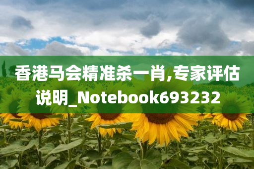 香港马会精准杀一肖,专家评估说明_Notebook693232