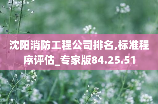 沈阳消防工程公司排名,标准程序评估_专家版84.25.51