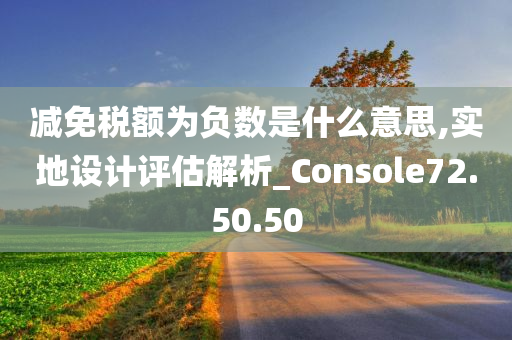 减免税额为负数是什么意思,实地设计评估解析_Console72.50.50