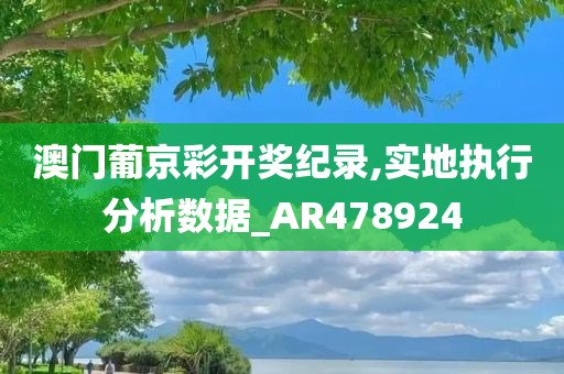 澳门葡京彩开奖纪录,实地执行分析数据_AR478924