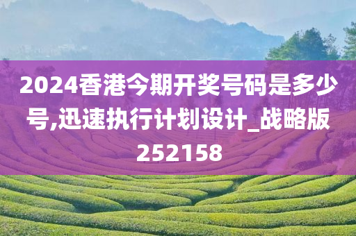 2024香港今期开奖号码是多少号,迅速执行计划设计_战略版252158