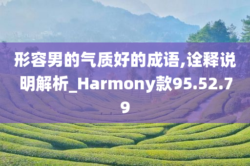 形容男的气质好的成语,诠释说明解析_Harmony款95.52.79