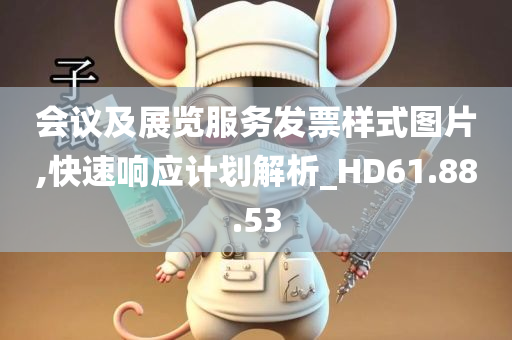 会议及展览服务发票样式图片,快速响应计划解析_HD61.88.53