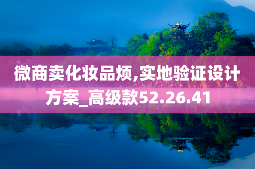 微商卖化妆品烦,实地验证设计方案_高级款52.26.41