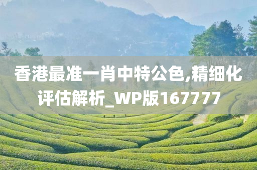 香港最准一肖中特公色,精细化评估解析_WP版167777