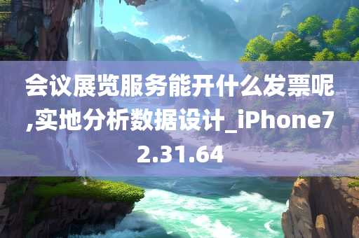 会议展览服务能开什么发票呢,实地分析数据设计_iPhone72.31.64