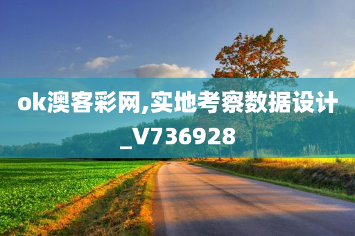 ok澳客彩网,实地考察数据设计_V736928