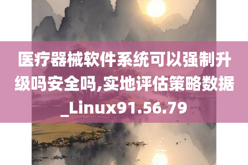 医疗器械软件系统可以强制升级吗安全吗,实地评估策略数据_Linux91.56.79