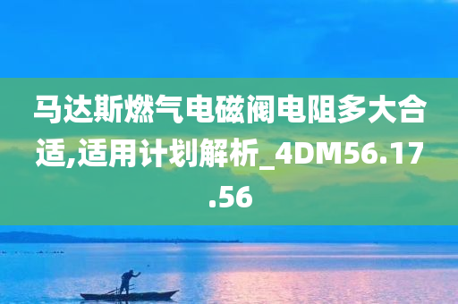 马达斯燃气电磁阀电阻多大合适,适用计划解析_4DM56.17.56